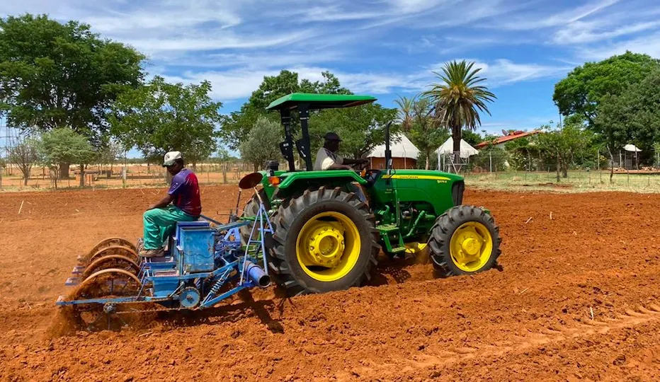 Agriculture at Ombe